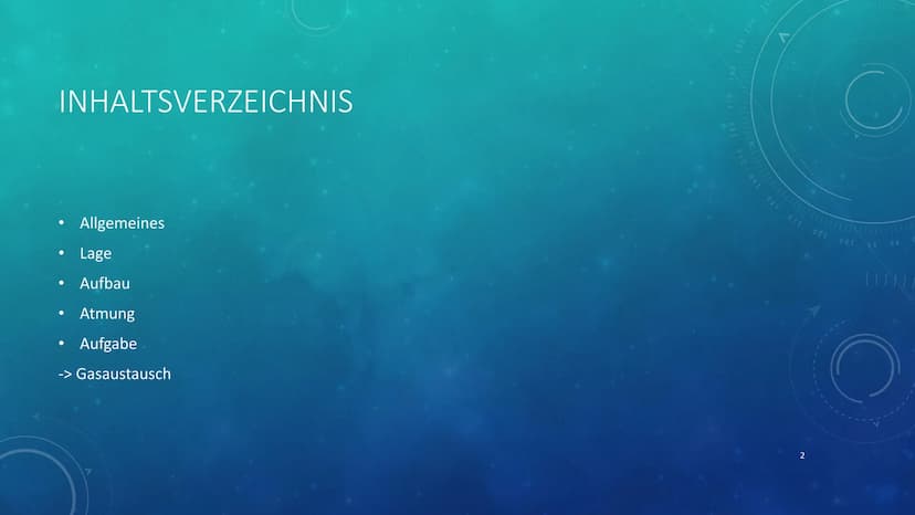 260
1
250
052
230
227
40 150
160
180
190
200
210
DIE LUNGE
KURZPRÄSENTATION
HANNA INHALTSVERZEICHNIS
●
●
Allgemeines
Lage
Aufbau
●
Atmung
Au