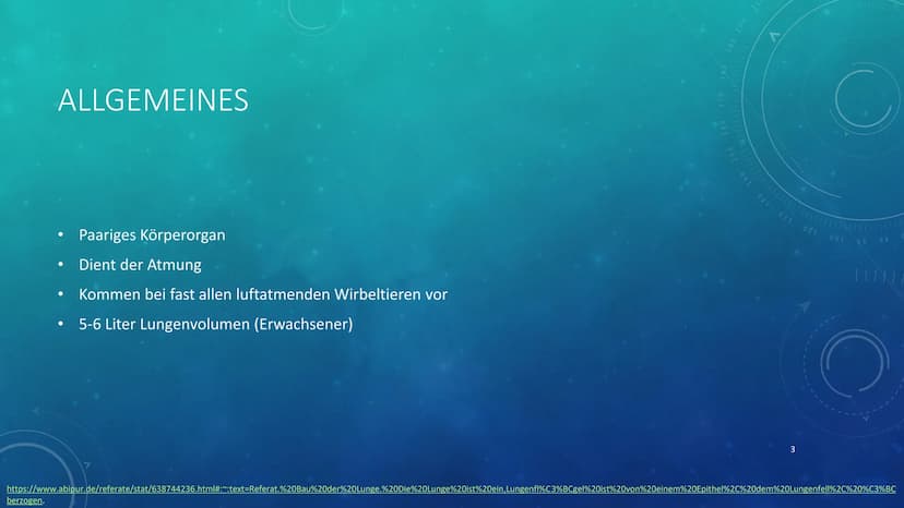 260
1
250
052
230
227
40 150
160
180
190
200
210
DIE LUNGE
KURZPRÄSENTATION
HANNA INHALTSVERZEICHNIS
●
●
Allgemeines
Lage
Aufbau
●
Atmung
Au