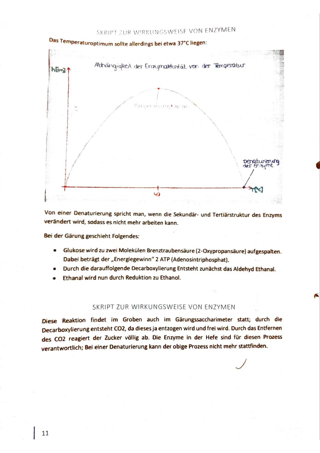 LK Chemie Q2
Enzyme - wie wirken sie?
Skript zur Wirkungsweise von Enzymen
(1560)
27.06.16 1
INHALTSVERZEICHNIS
2
1. VERSUCHE ZUR WIRKUNG DE