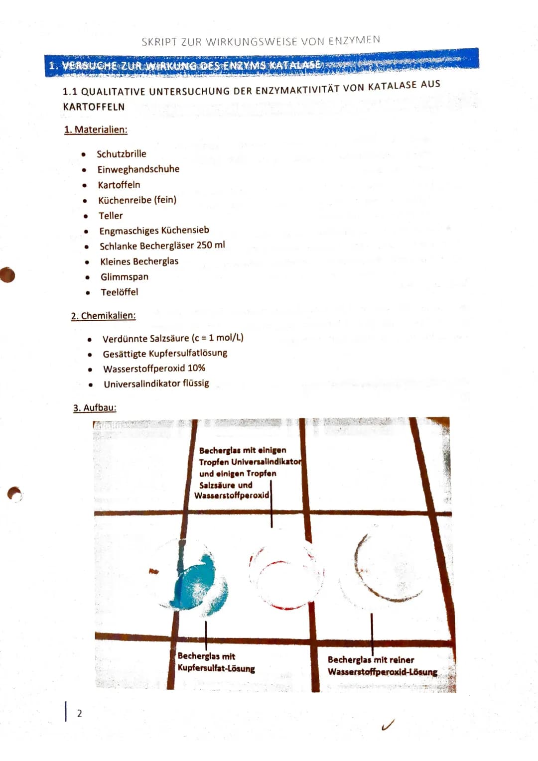 LK Chemie Q2
Enzyme - wie wirken sie?
Skript zur Wirkungsweise von Enzymen
(1560)
27.06.16 1
INHALTSVERZEICHNIS
2
1. VERSUCHE ZUR WIRKUNG DE