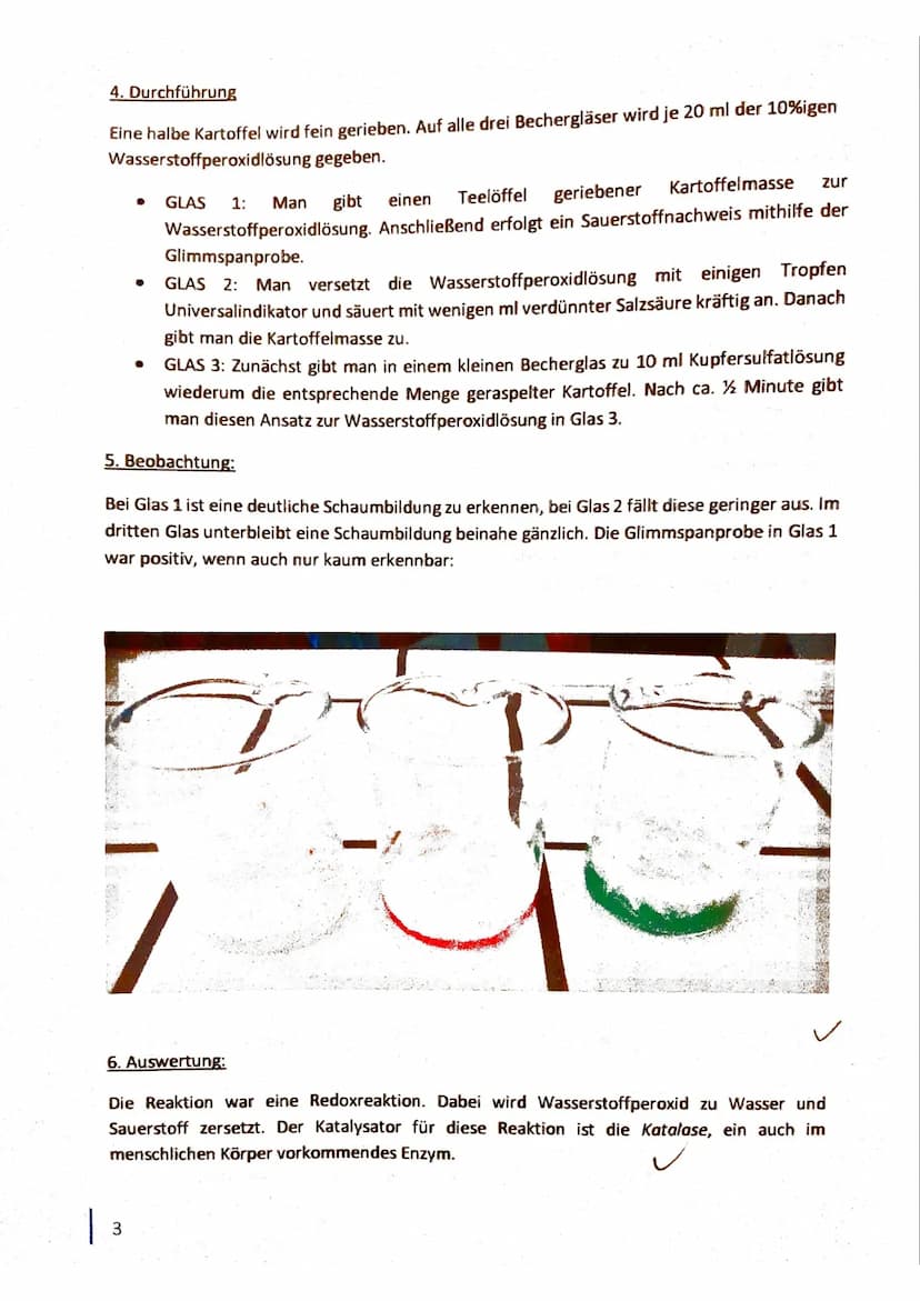 LK Chemie Q2
Enzyme - wie wirken sie?
Skript zur Wirkungsweise von Enzymen
(1560)
27.06.16 1
INHALTSVERZEICHNIS
2
1. VERSUCHE ZUR WIRKUNG DE