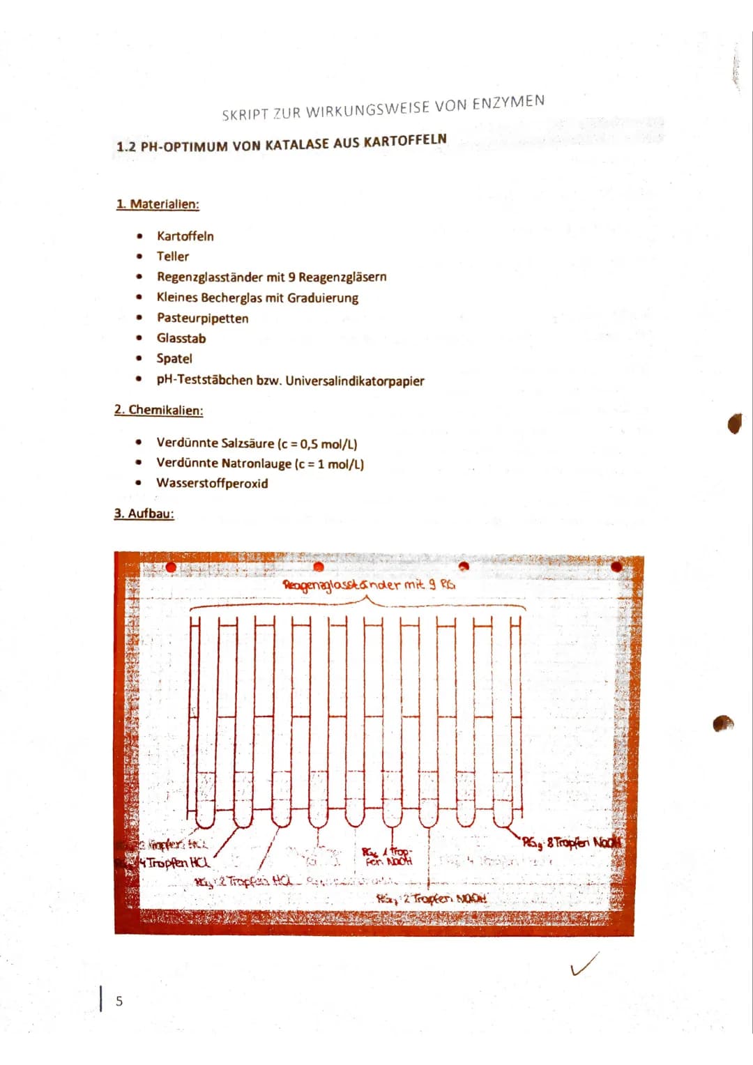 LK Chemie Q2
Enzyme - wie wirken sie?
Skript zur Wirkungsweise von Enzymen
(1560)
27.06.16 1
INHALTSVERZEICHNIS
2
1. VERSUCHE ZUR WIRKUNG DE