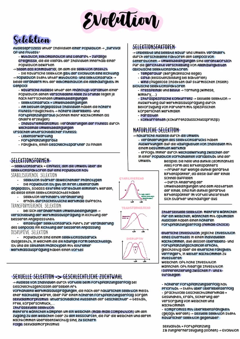 Evolutionstheorien
-> Erklärung des Artwandels und Entstehung von Arten
DARWIN
- selektionstheorie
Inkonstanz der Arten -> veränderungen im 