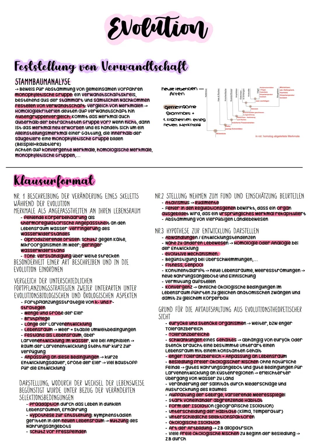 Evolutionstheorien
-> Erklärung des Artwandels und Entstehung von Arten
DARWIN
- selektionstheorie
Inkonstanz der Arten -> veränderungen im 