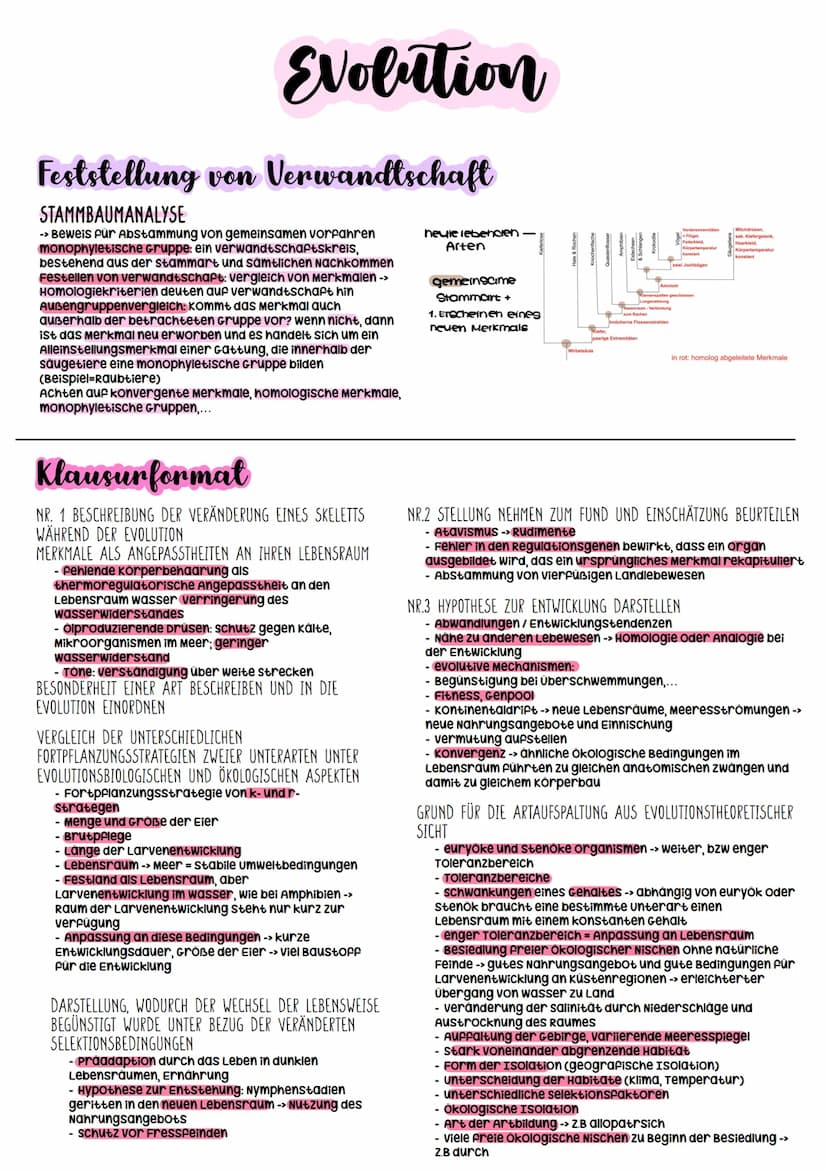 Evolutionstheorien
-> Erklärung des Artwandels und Entstehung von Arten
DARWIN
- selektionstheorie
Inkonstanz der Arten -> veränderungen im 