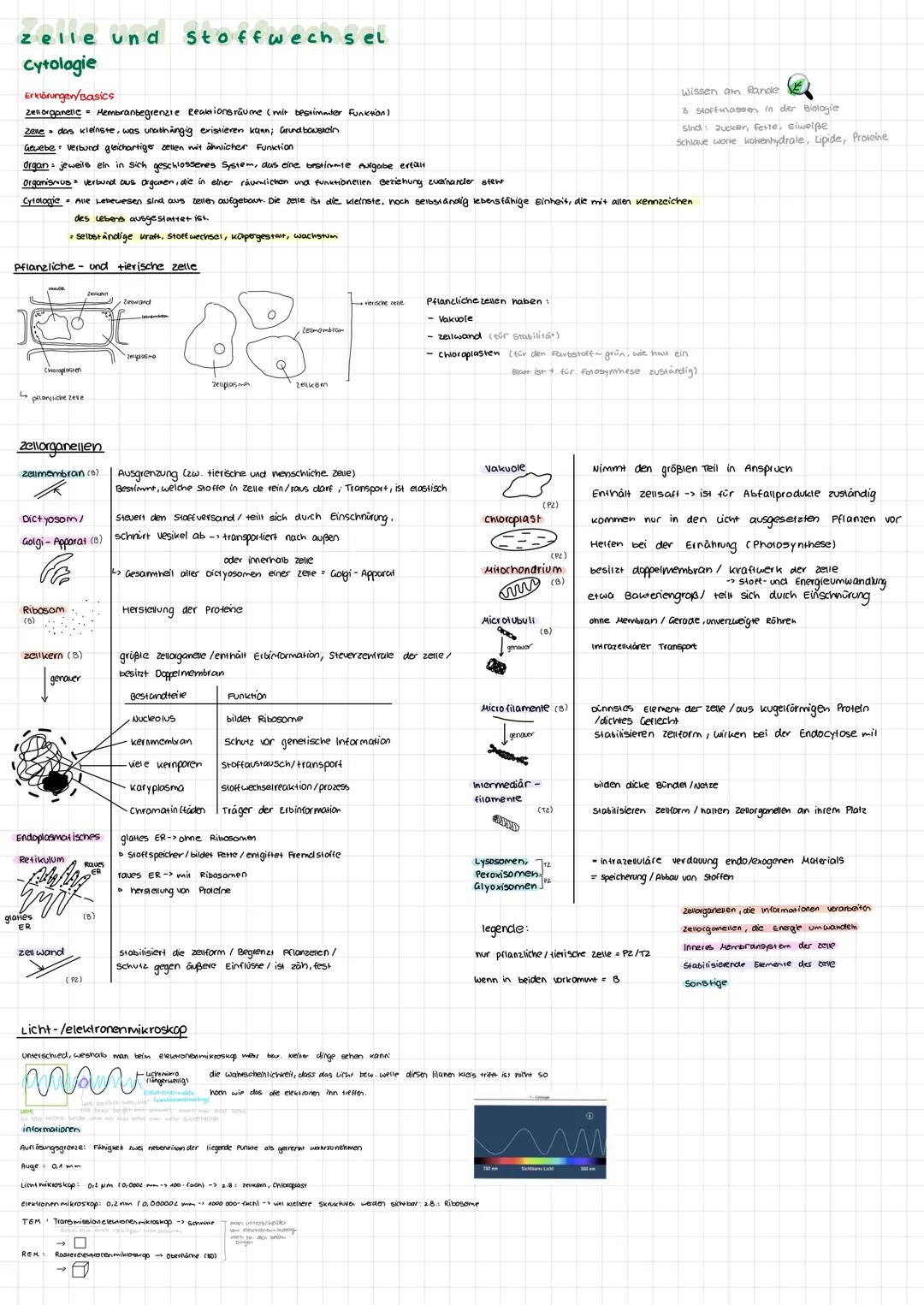 zelle und
Cytologie
Erklärungen/Basics
Zell organelle Membranbegrenzte Reaktionsräume (mit bestimmter Funktion)
Zene das kleinste, was unabh