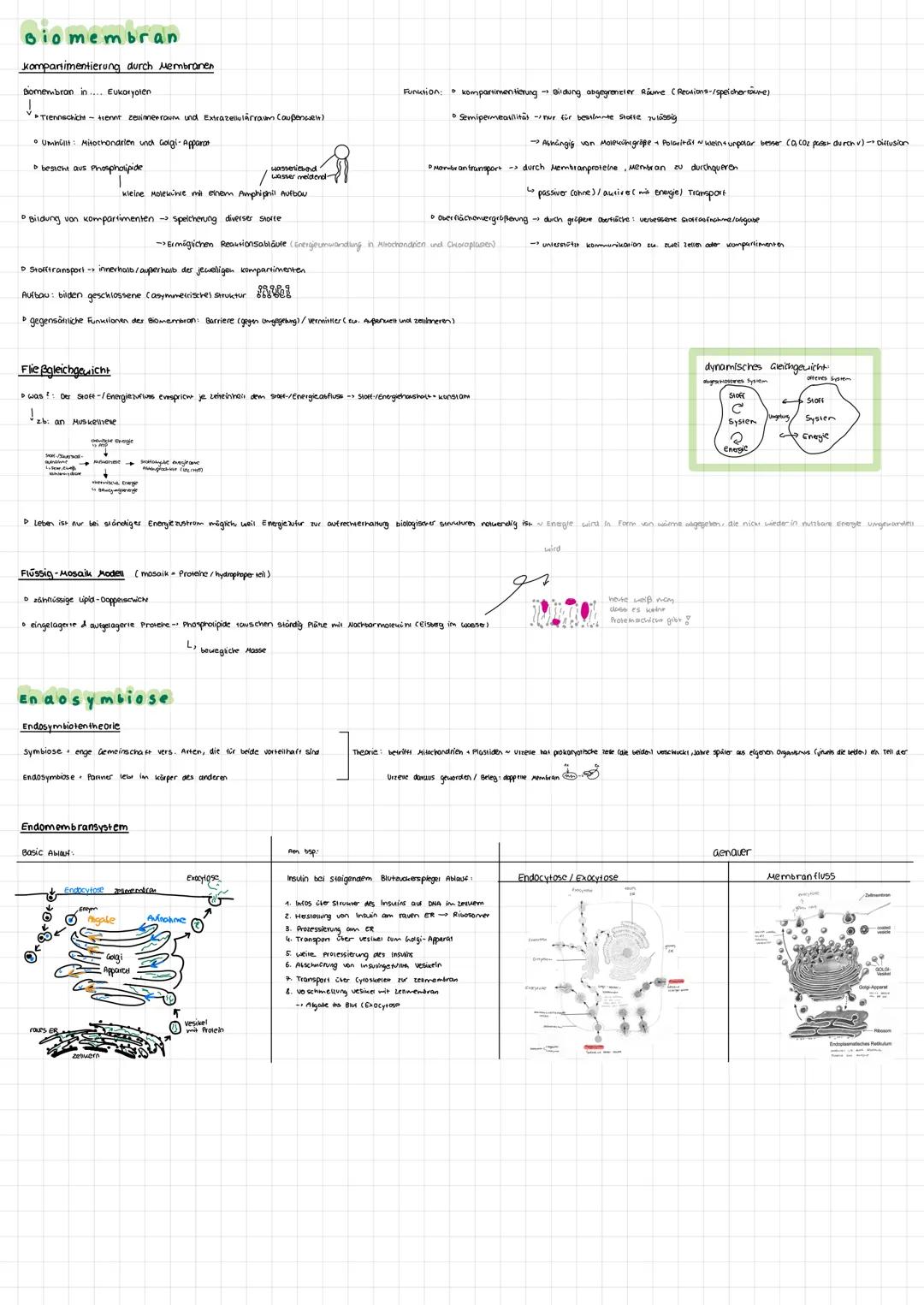 zelle und
Cytologie
Erklärungen/Basics
Zell organelle Membranbegrenzte Reaktionsräume (mit bestimmter Funktion)
Zene das kleinste, was unabh