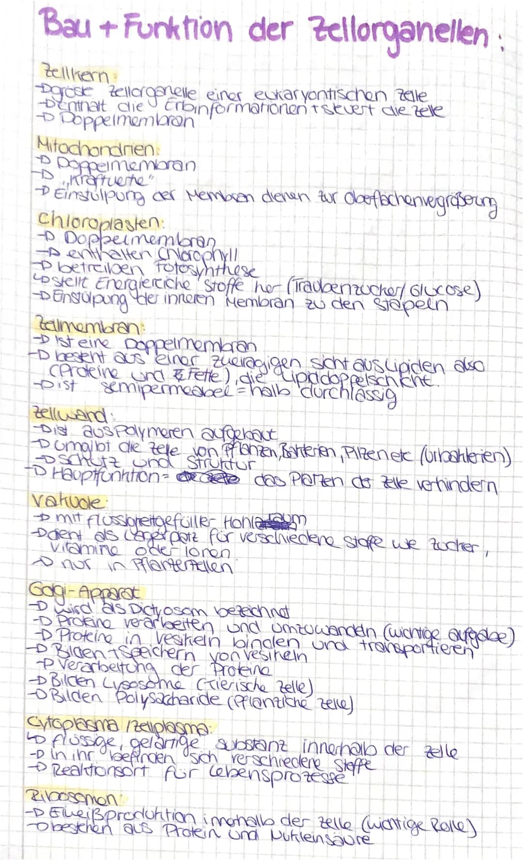 Bau und Funktion der Zellorganellen 