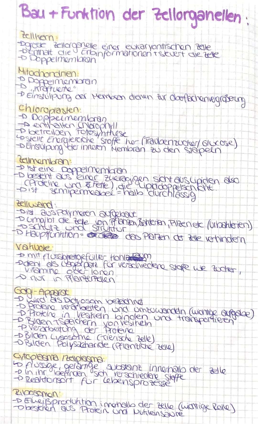 Bau+ Funktion der Zellorganellen:
Zellkern:
Pgroste zellorganelle einer eukaryontischen Zelle
-Denthalt die Erbinformationentskevert die zel