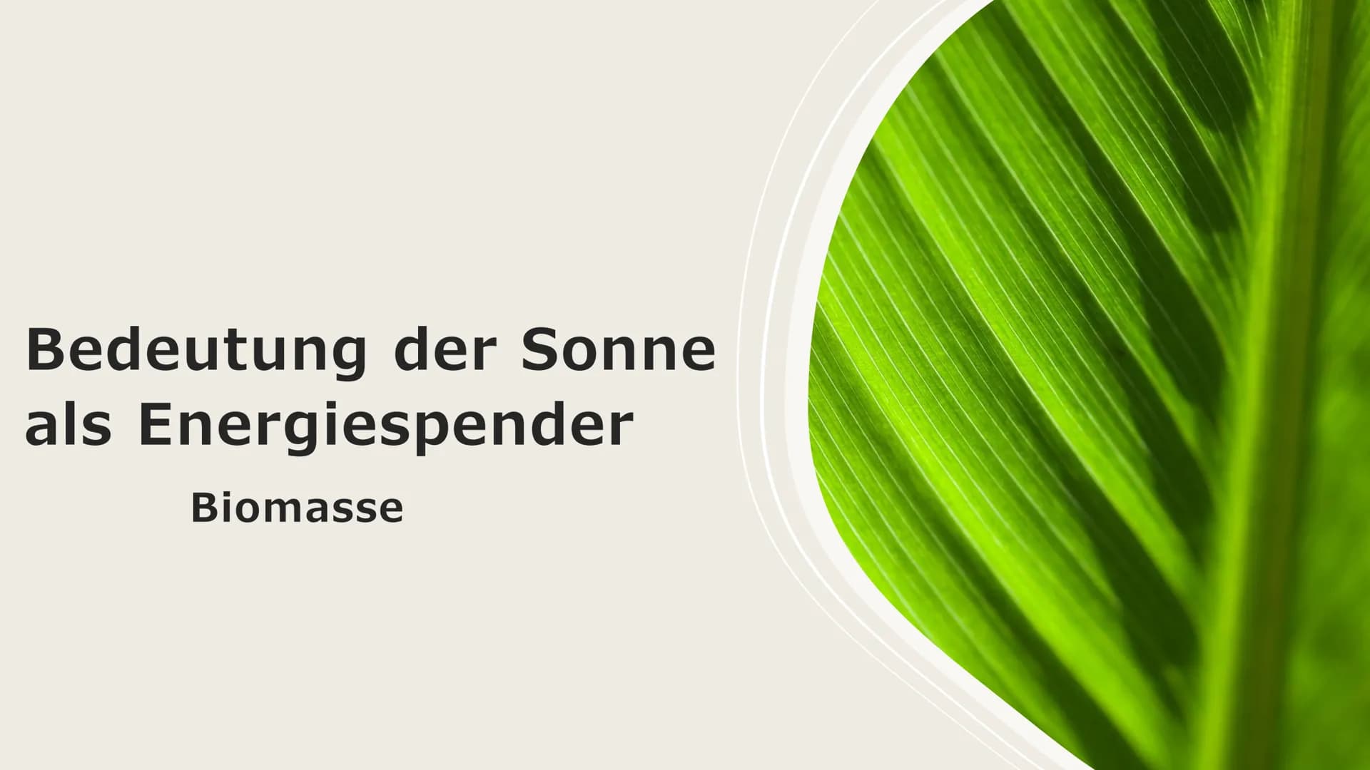 Bedeutung der Sonne
als Energiespender
Biomasse Gliederung
- Erklärung von Biomasse
- Fotosynthese
- CO₂-Kreislauf
Methan
Ethanol Erklärung 