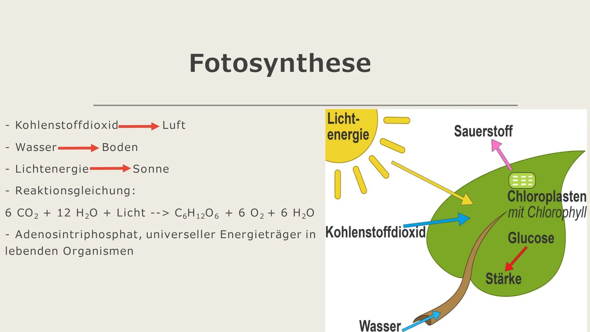 Bedeutung der Sonne
als Energiespender
Biomasse Gliederung
- Erklärung von Biomasse
- Fotosynthese
- CO₂-Kreislauf
Methan
Ethanol Erklärung 