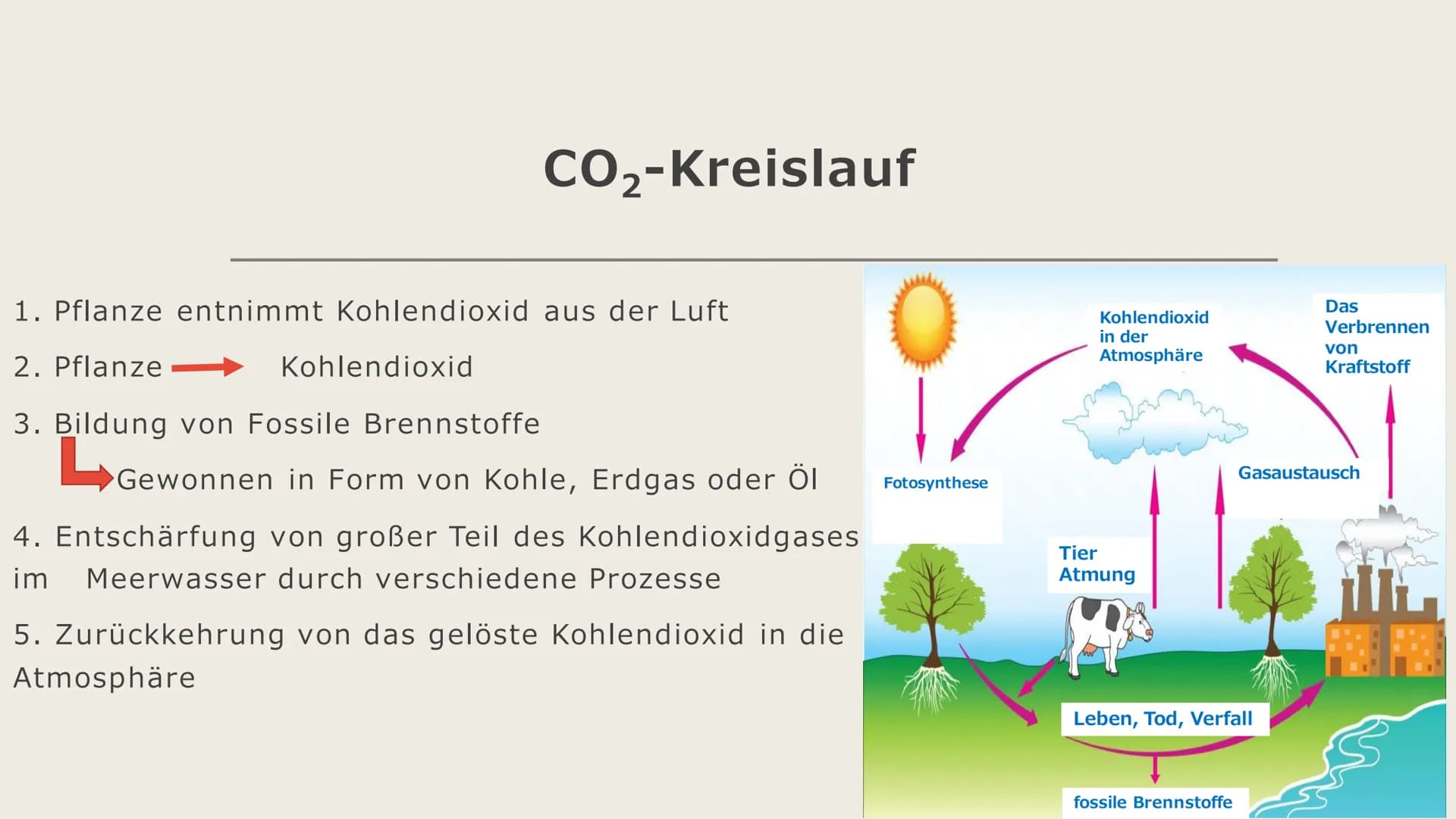 Bedeutung der Sonne
als Energiespender
Biomasse Gliederung
- Erklärung von Biomasse
- Fotosynthese
- CO₂-Kreislauf
Methan
Ethanol Erklärung 