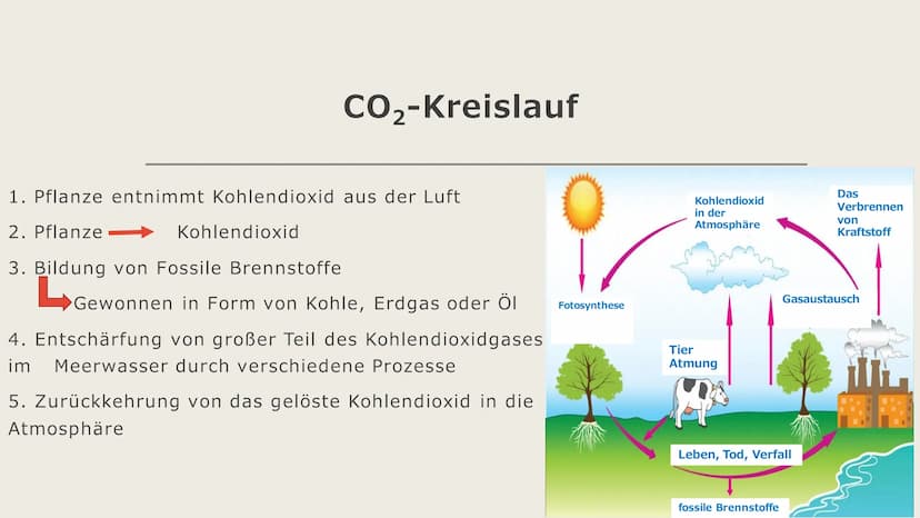 Bedeutung der Sonne
als Energiespender
Biomasse Gliederung
- Erklärung von Biomasse
- Fotosynthese
- CO₂-Kreislauf
Methan
Ethanol Erklärung 