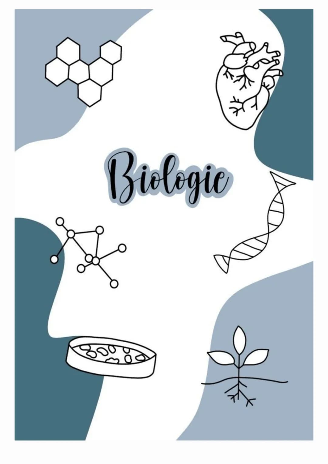 Biologic 1+1
000
000
Mathe
VO
OD 00
我
لليليليليليليليليليليليليها Religion
CES
✡
+ سى
H₂O
Chemie
f
Å
|.|.| 2
HISTORY
Geschichte
