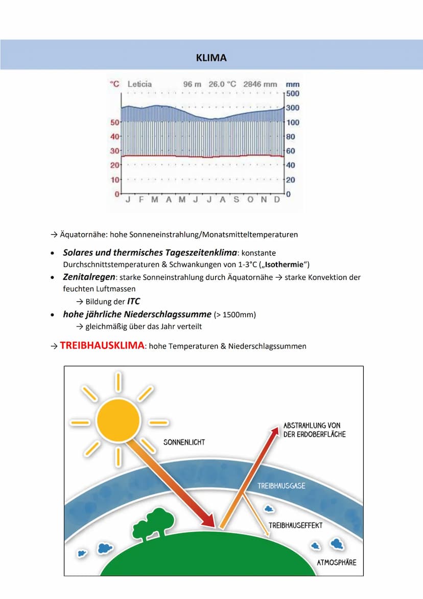 TROPEN
Unterscheidung
immerfeuchte Tropen
0° & 10° N/S
9-12 humide Monate
Stabile Durchschnittstemperatur über
25°C
• Tropische Regenwälder
