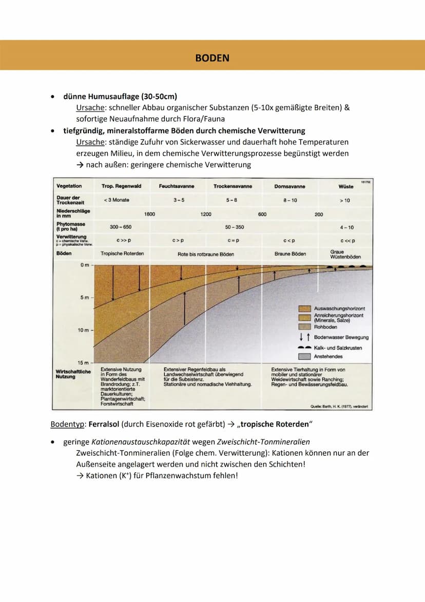 TROPEN
Unterscheidung
immerfeuchte Tropen
0° & 10° N/S
9-12 humide Monate
Stabile Durchschnittstemperatur über
25°C
• Tropische Regenwälder
