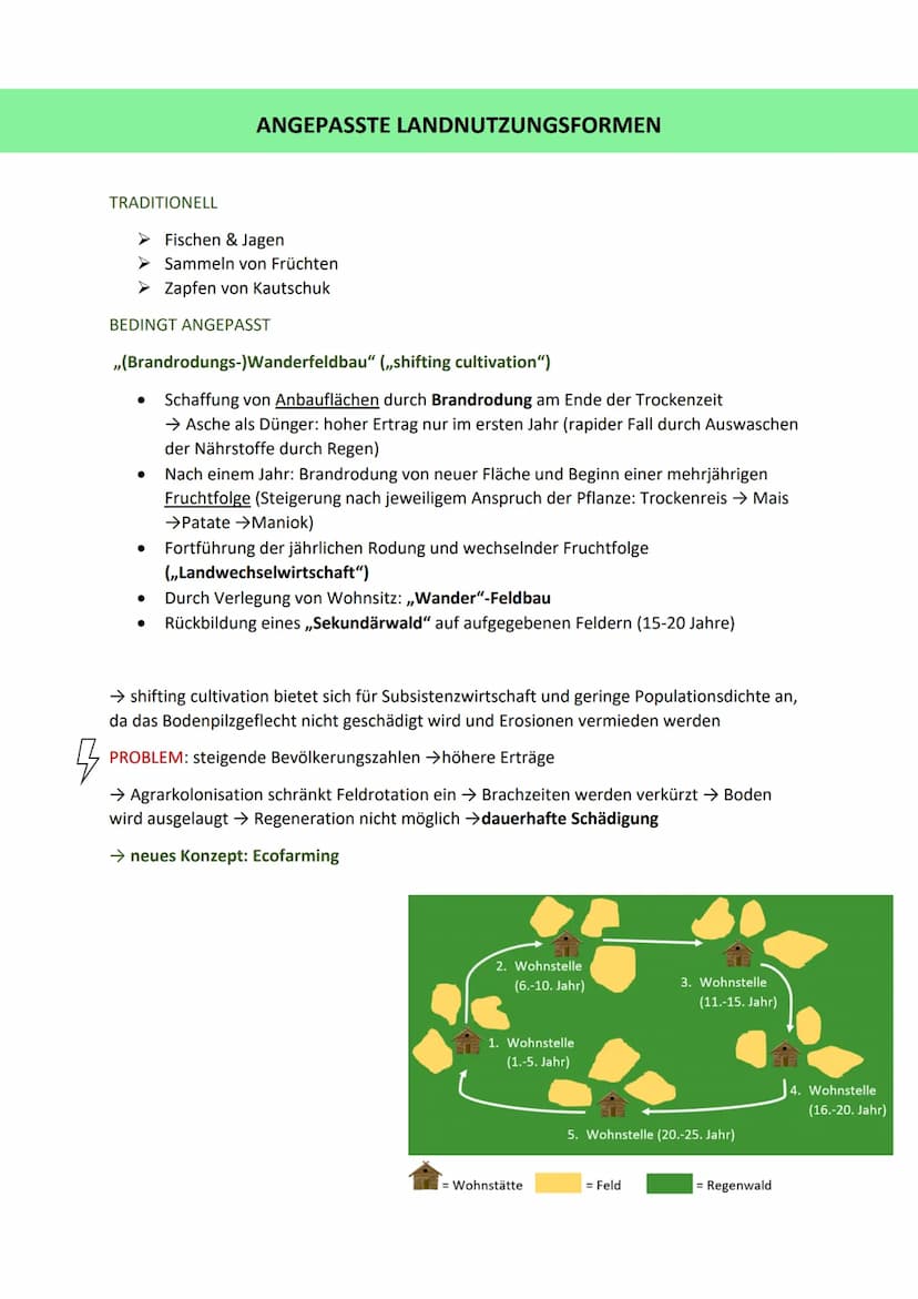 TROPEN
Unterscheidung
immerfeuchte Tropen
0° & 10° N/S
9-12 humide Monate
Stabile Durchschnittstemperatur über
25°C
• Tropische Regenwälder
