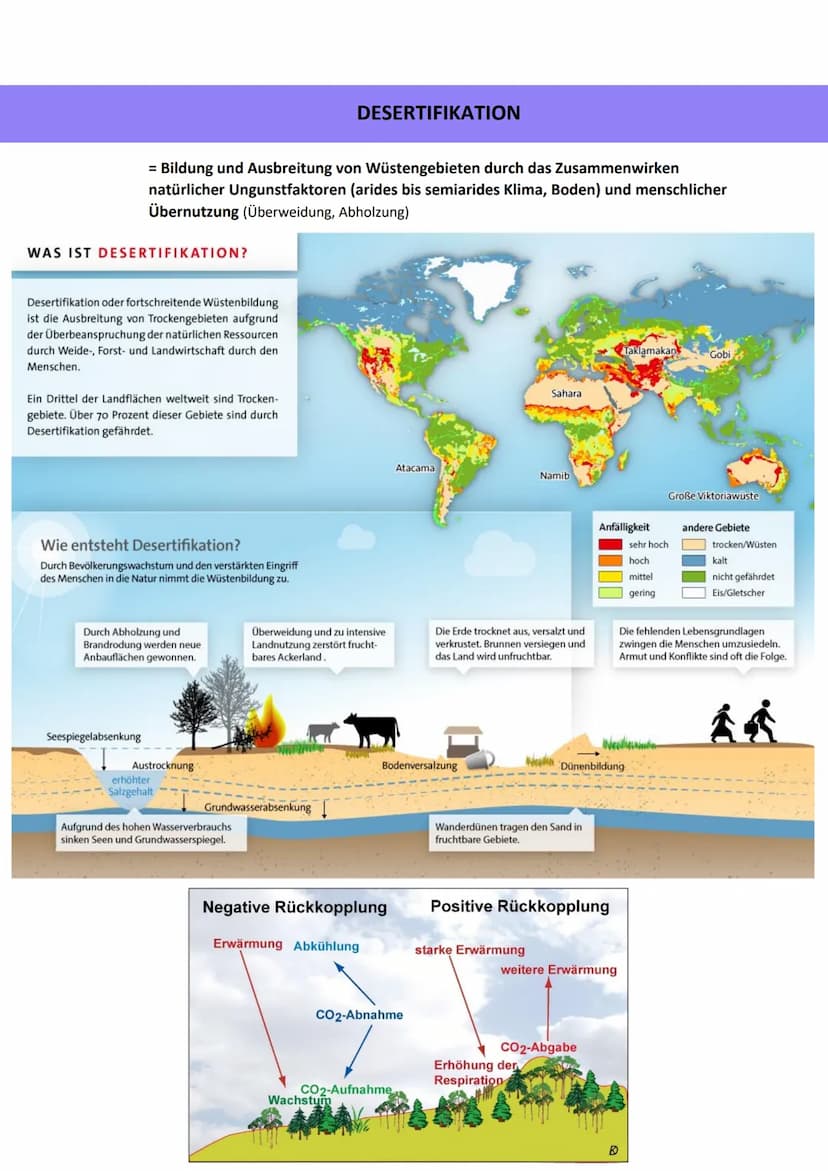 TROPEN
Unterscheidung
immerfeuchte Tropen
0° & 10° N/S
9-12 humide Monate
Stabile Durchschnittstemperatur über
25°C
• Tropische Regenwälder
