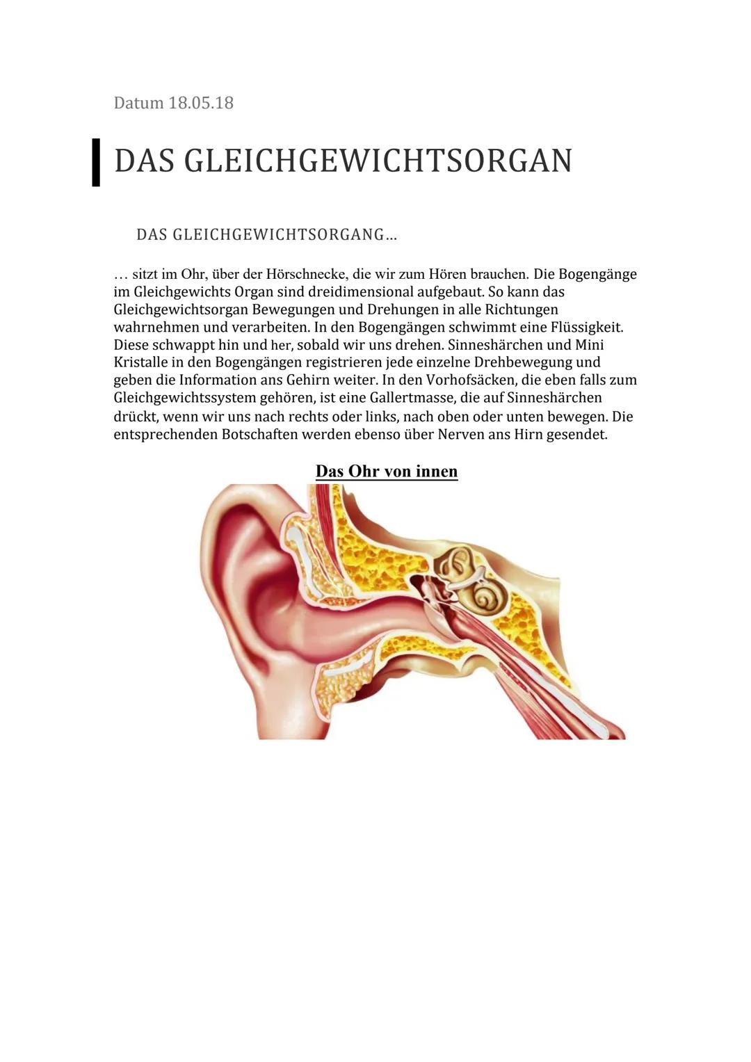 Das Gleichgewichtsorgan Datum 18.05.18
DAS GLEICHGEWICHTSORGAN
DAS GLEICHGEWICHTSORGANG...
... sitzt im Ohr, über der Hörschnecke, die wir z