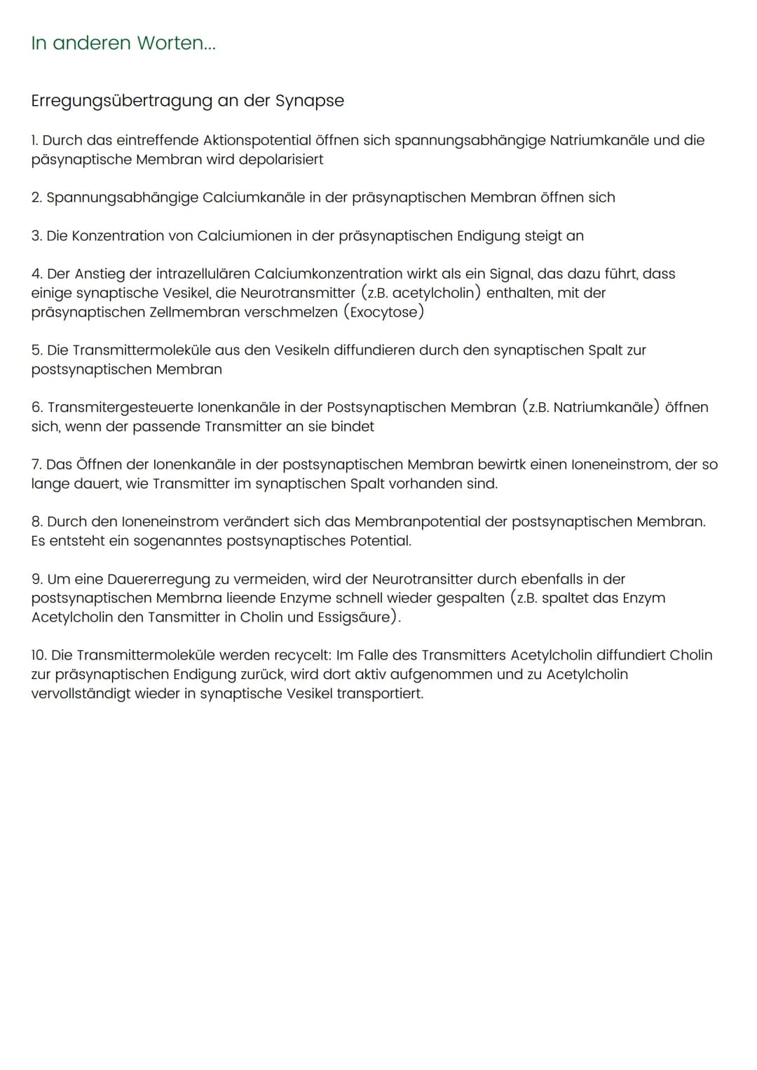 Die Synapse
Der Kontaktbereich zwischen dem Axonende (Endknöpfchen) und einer weiteren Zelle (Dendriten)
bezeichnet man als Synapse. Ein Axo