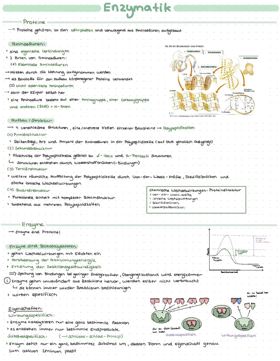 Enzymatik