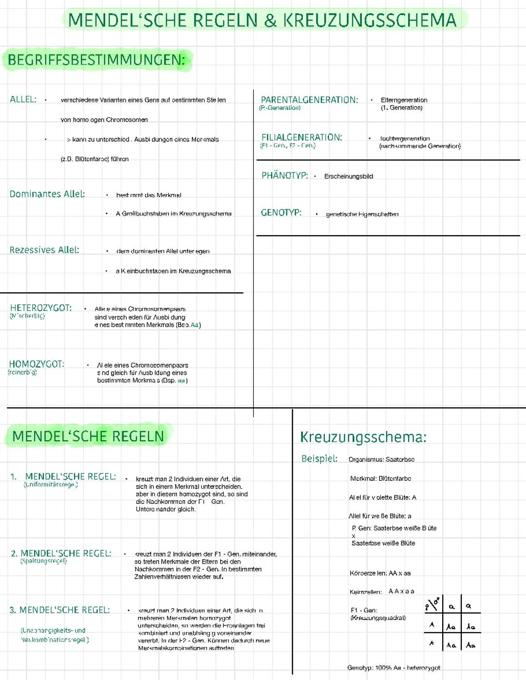 Mendel‘sche Regeln und Kreuzungsschema