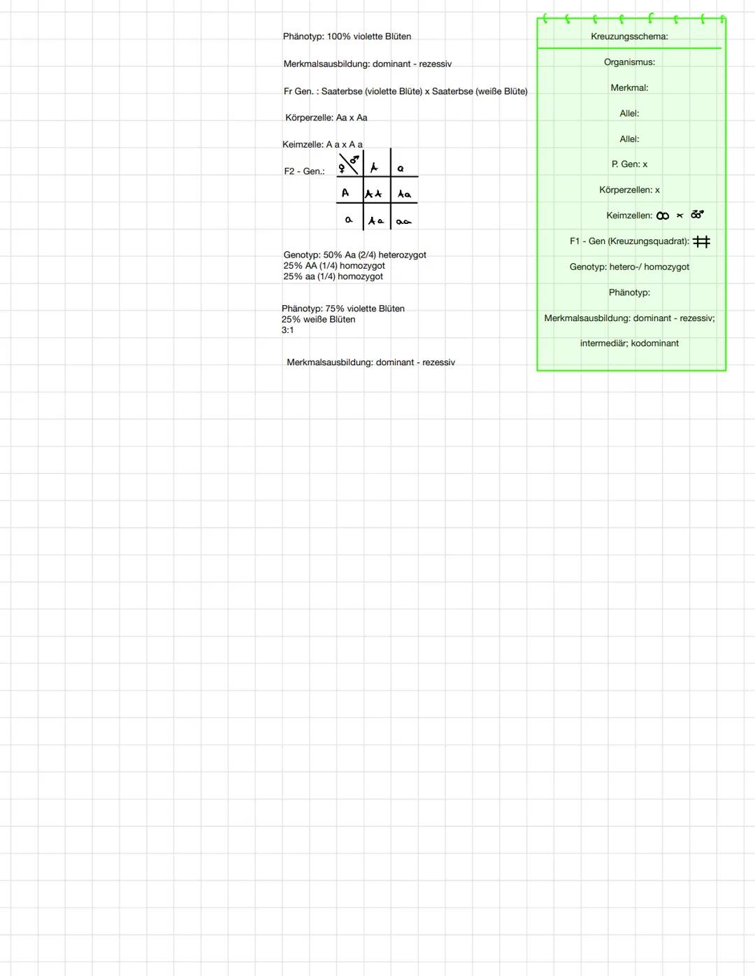 MENDEL'SCHE REGELN & KREUZUNGSSCHEMA
BEGRIFFSBESTIMMUNGEN:
ALLEL: . verschiedene Varianten eines Gens auf bestimmten Stellen
von homologen C