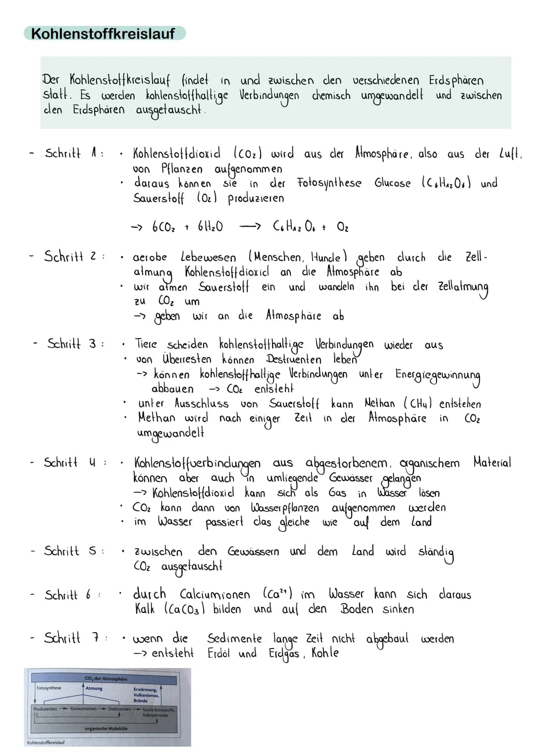 Kohlenstoffkreislauf
Der Kohlenstoffkreislauf findet in und zwischen den verschiedenen Erdsphären
statt. Es werden kohlenstoffhaltige Verbin