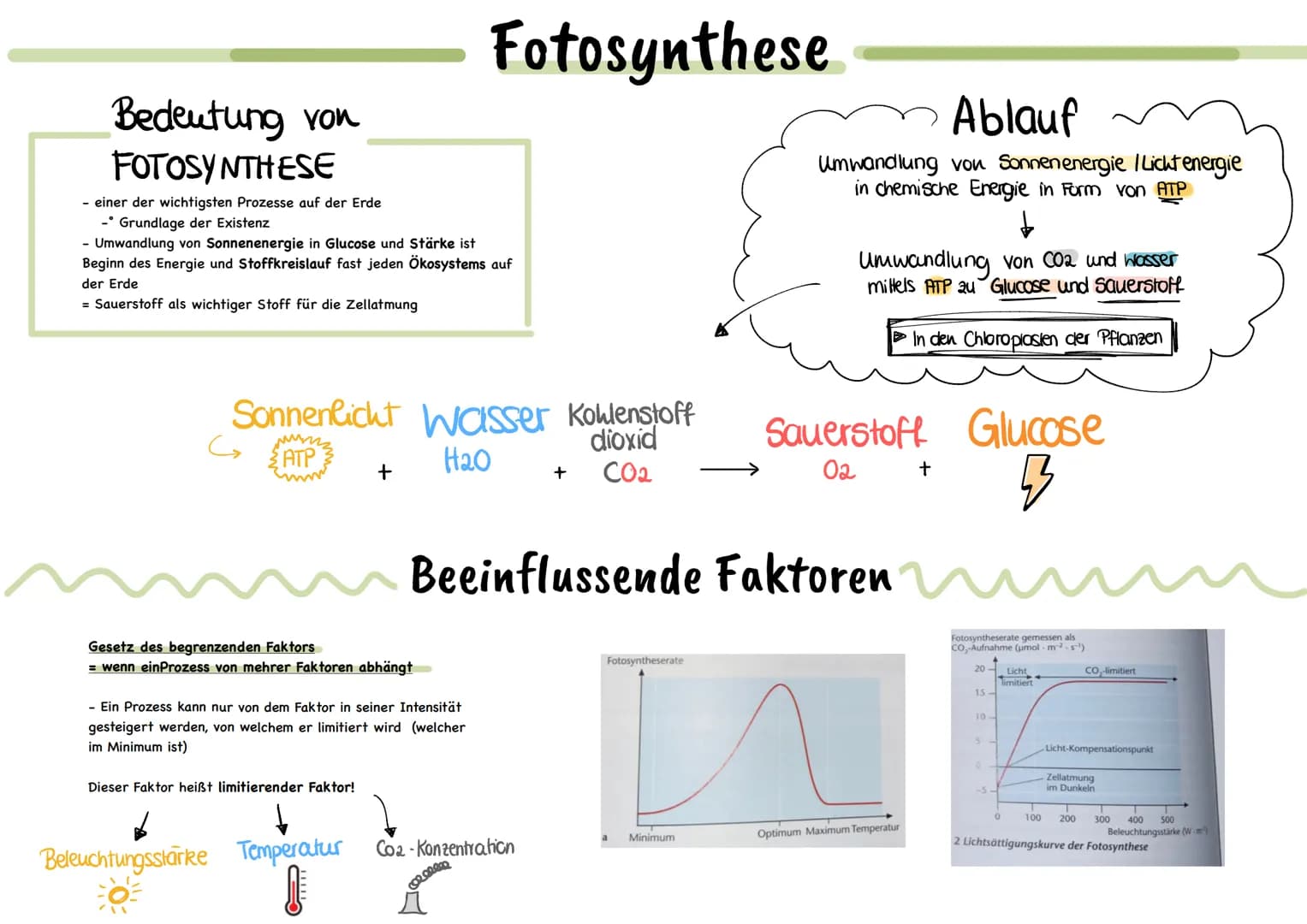 Biotische Faktoren
gehen von Lebewesen aus
(Konkurrenten, Parasiten,
Mensch, Fressfeinde etc.)
UMWELTFAKTOREN
1 de desen
Biotop
▸ Lebensraum