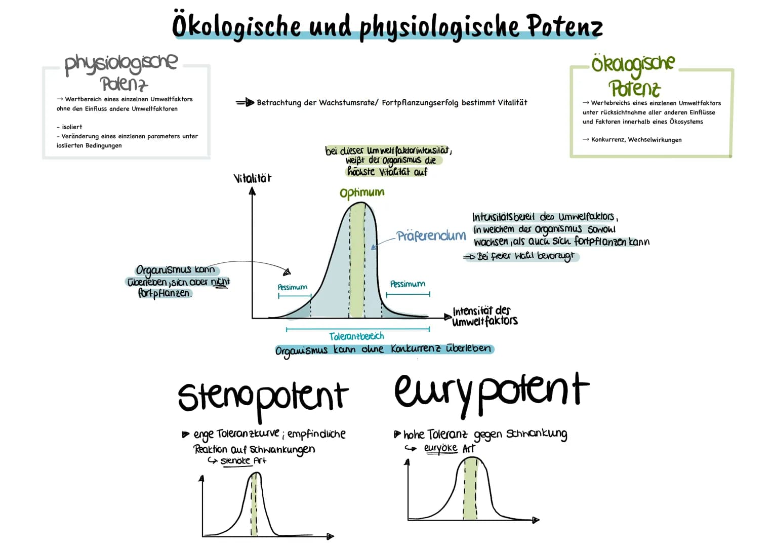 Biotische Faktoren
gehen von Lebewesen aus
(Konkurrenten, Parasiten,
Mensch, Fressfeinde etc.)
UMWELTFAKTOREN
1 de desen
Biotop
▸ Lebensraum