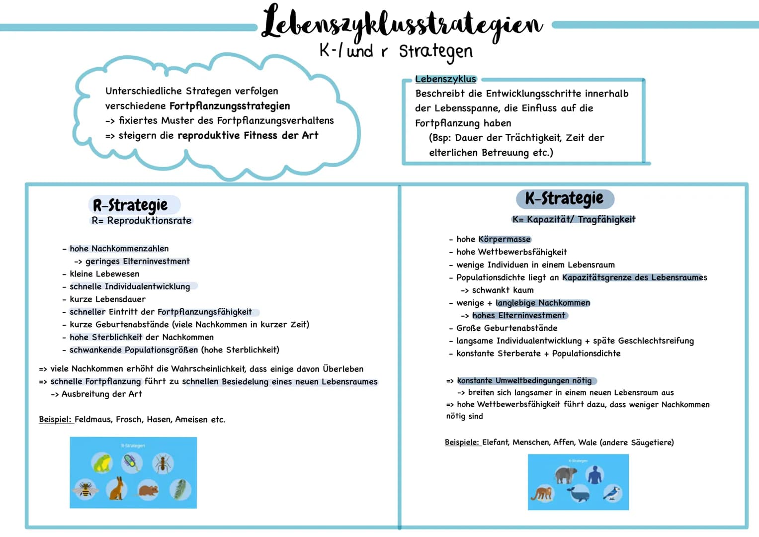 Biotische Faktoren
gehen von Lebewesen aus
(Konkurrenten, Parasiten,
Mensch, Fressfeinde etc.)
UMWELTFAKTOREN
1 de desen
Biotop
▸ Lebensraum
