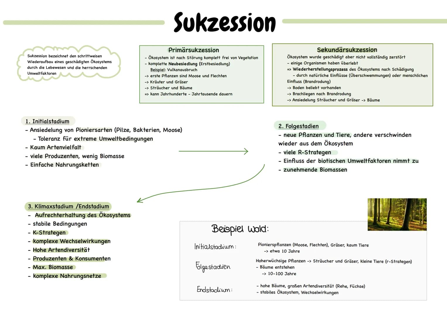 Biotische Faktoren
gehen von Lebewesen aus
(Konkurrenten, Parasiten,
Mensch, Fressfeinde etc.)
UMWELTFAKTOREN
1 de desen
Biotop
▸ Lebensraum