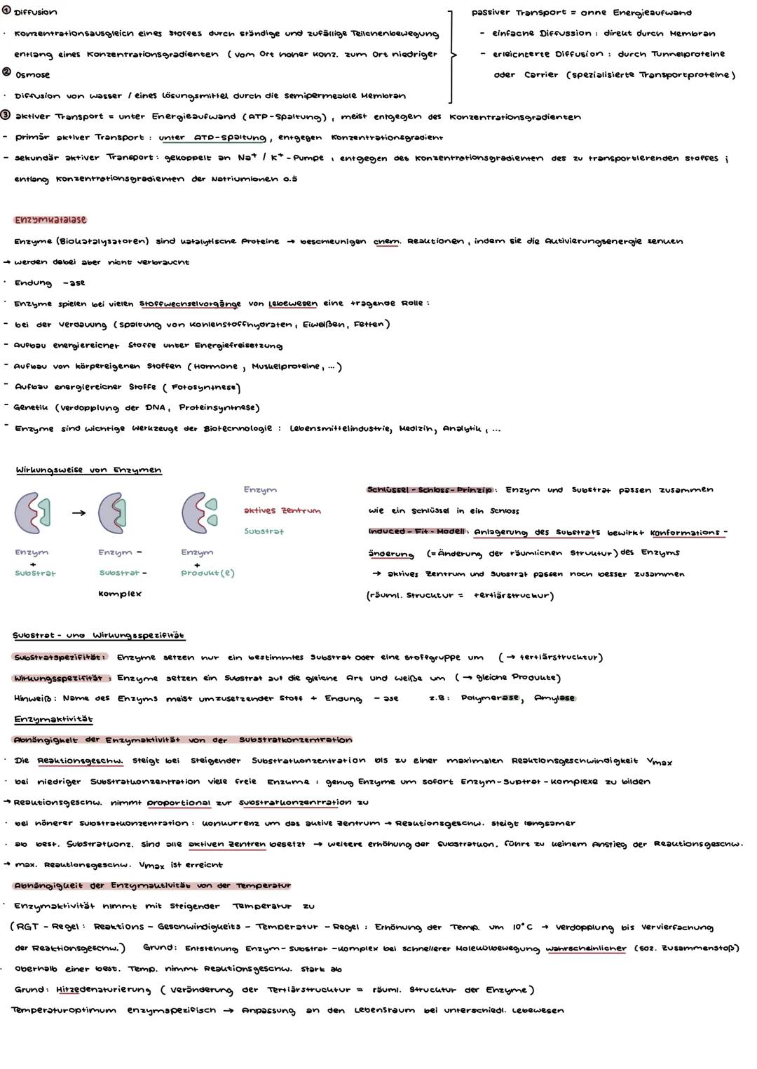 -RIAUSUT 11/1-

1. Organisation und Funktion der zelle

| Organell           | Aufgabe                         | Srabilität | Bauterienzelle
