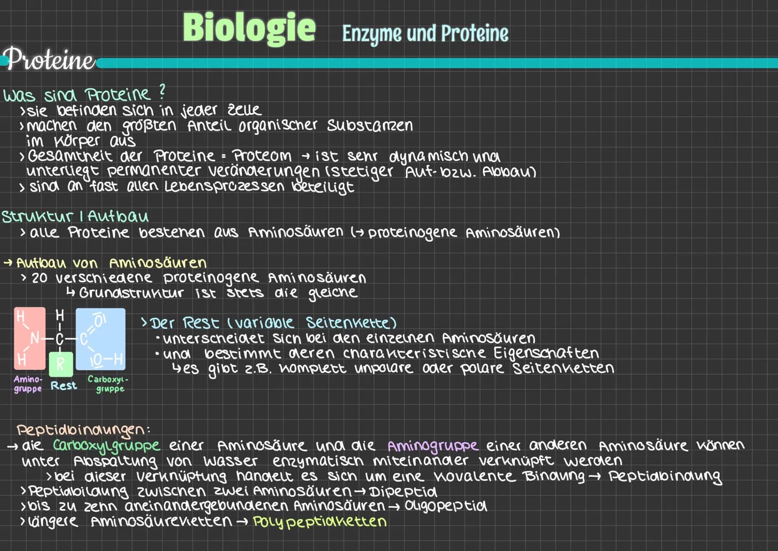 Proteine
Was sind Proteine ?
>sie befinden sich in jeder Zelle
> machen den größten Anteil organischer Substanzen
im Körper aus
› Gesamtheit