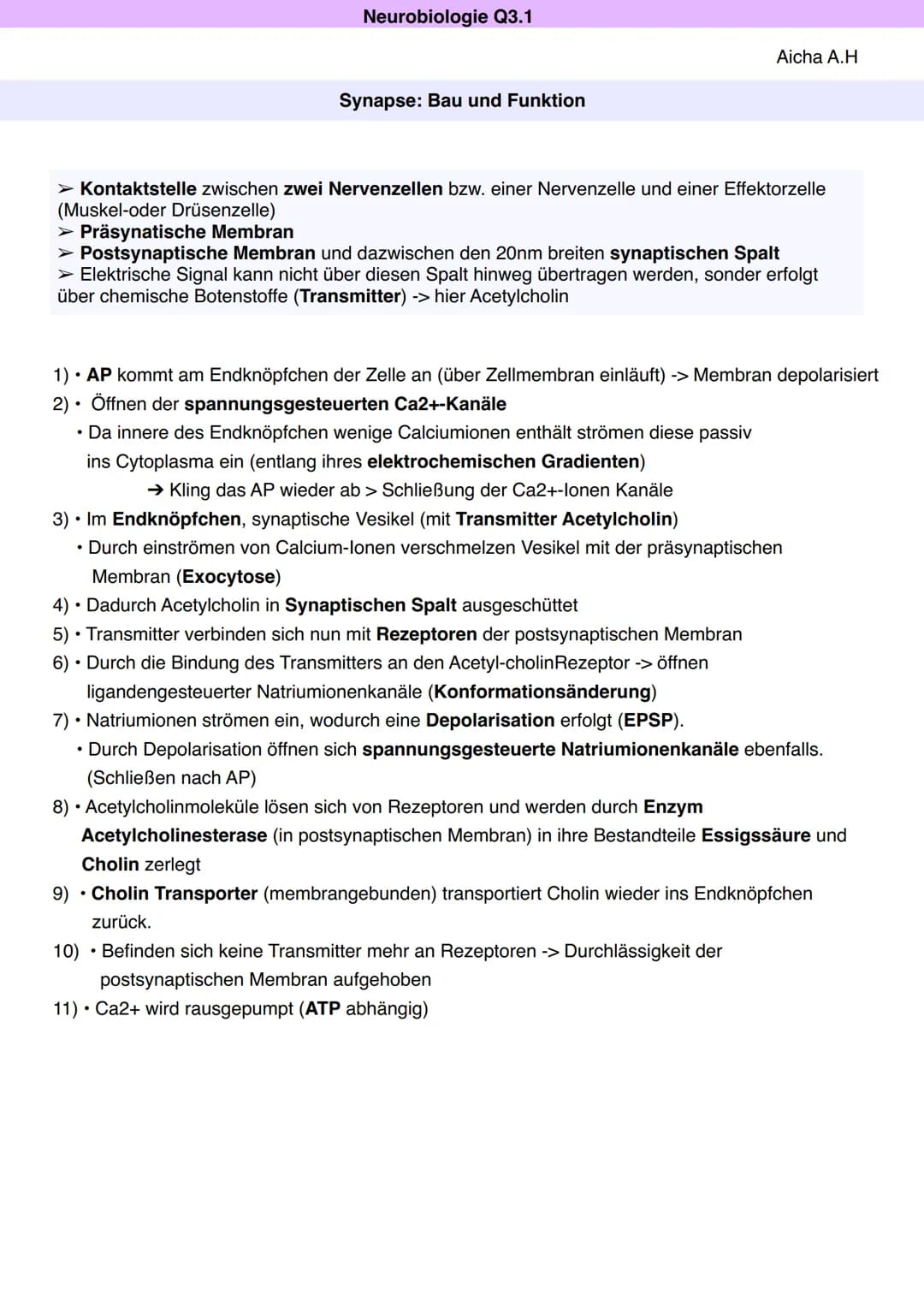 Neurobiologie Q3.1
Synapse: Bau und Funktion
Aicha A.H
> Kontaktstelle zwischen zwei Nervenzellen bzw. einer Nervenzelle und einer Effektorz