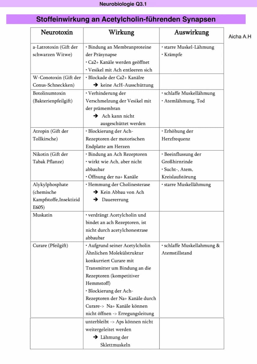 Neurobiologie Q3.1
Synapse: Bau und Funktion
Aicha A.H
> Kontaktstelle zwischen zwei Nervenzellen bzw. einer Nervenzelle und einer Effektorz