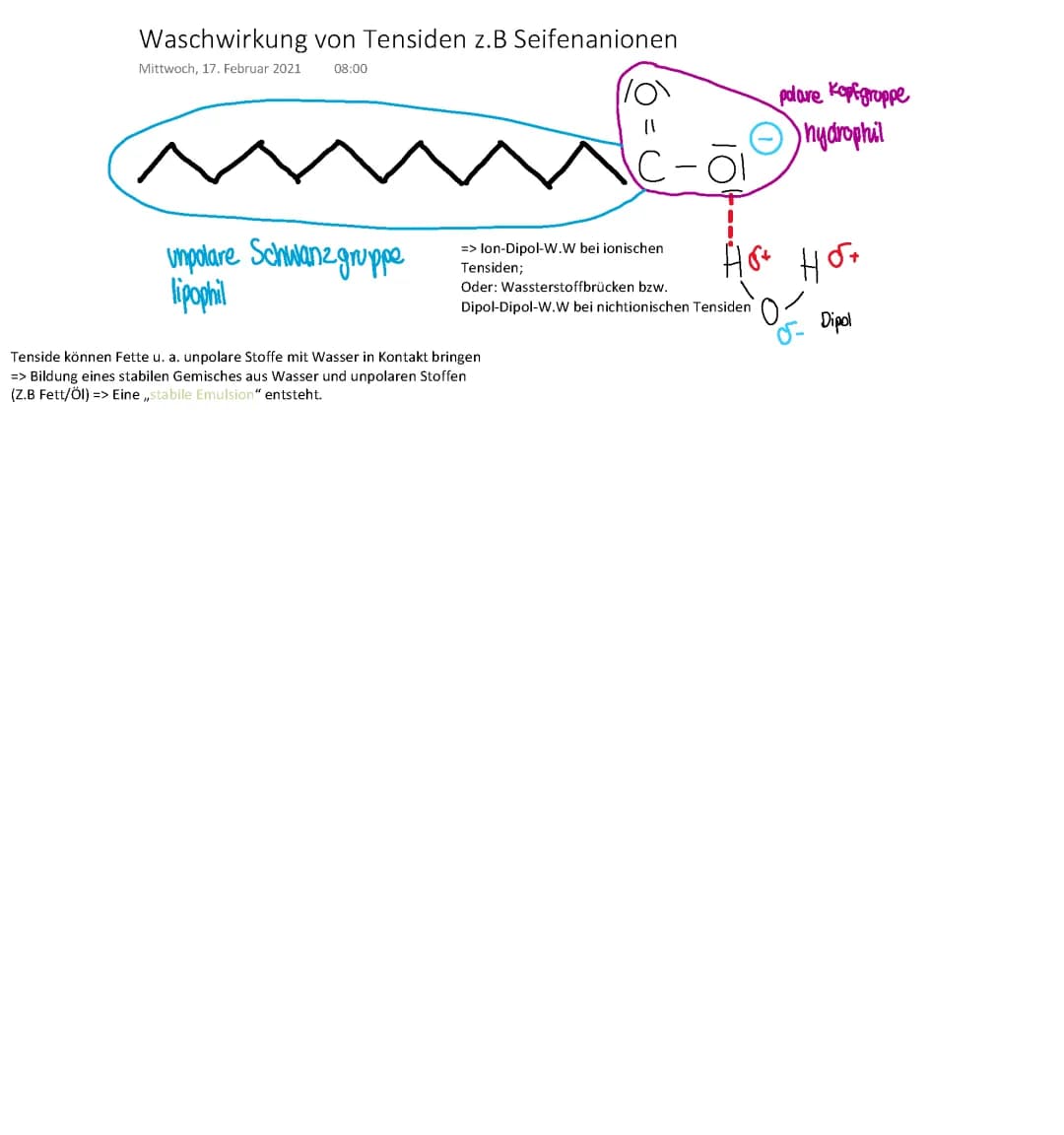 Waschwirkung von Tensiden und ihre 4 Phasen - Seife Chemie und natürliche Tenside