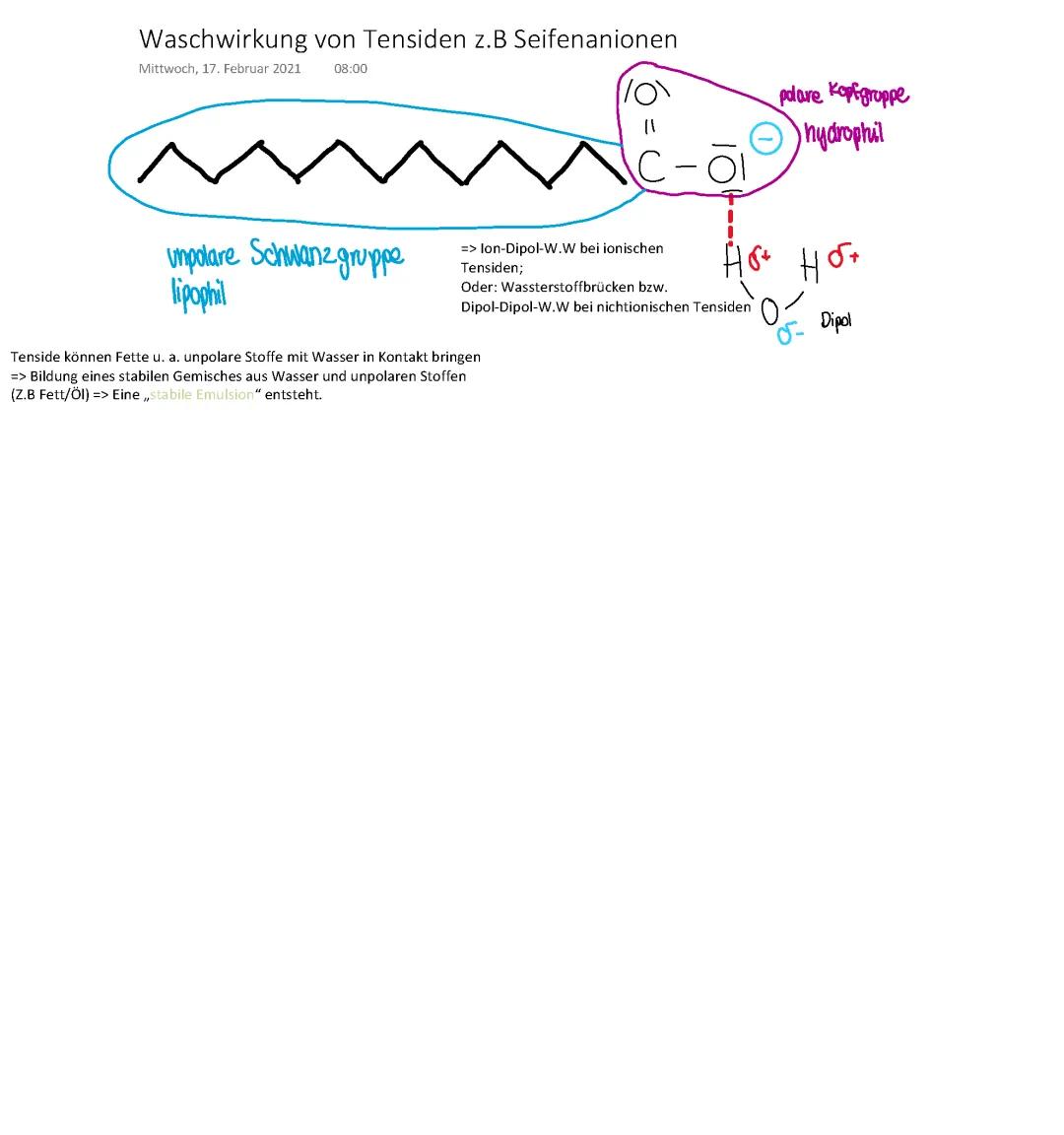 Waschwirkung von Tensiden und ihre 4 Phasen - Seife Chemie und natürliche Tenside