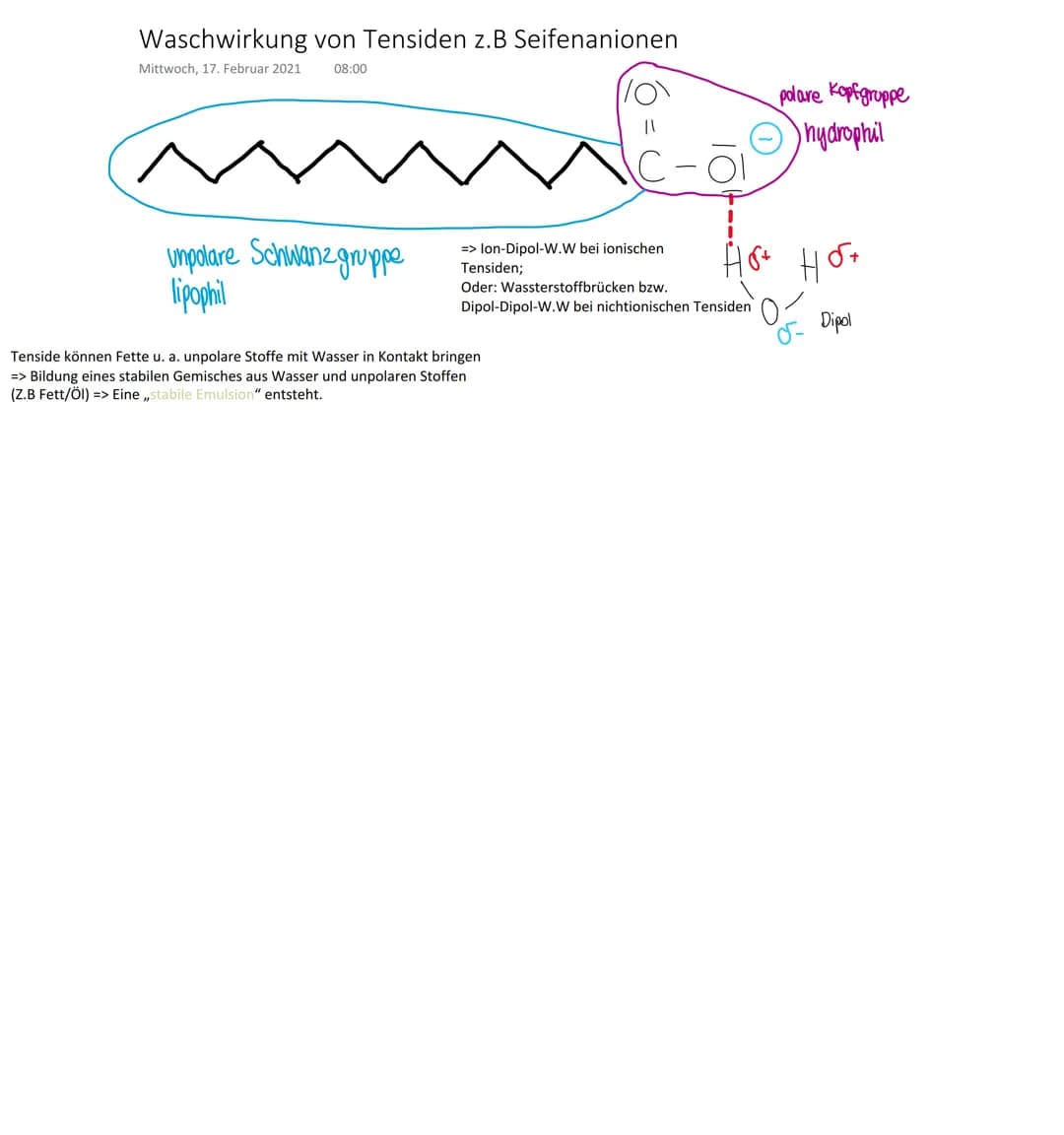Waschwirkung von Tensiden z.B Seifenanionen
Mittwoch, 17. Februar 2021
08:00
umpolare Schwanzgruppe
lipophil
=> lon-Dipol-W.W bei ionischen
