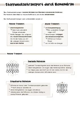 Know Stoffwechseltransport durch Biomembranen thumbnail