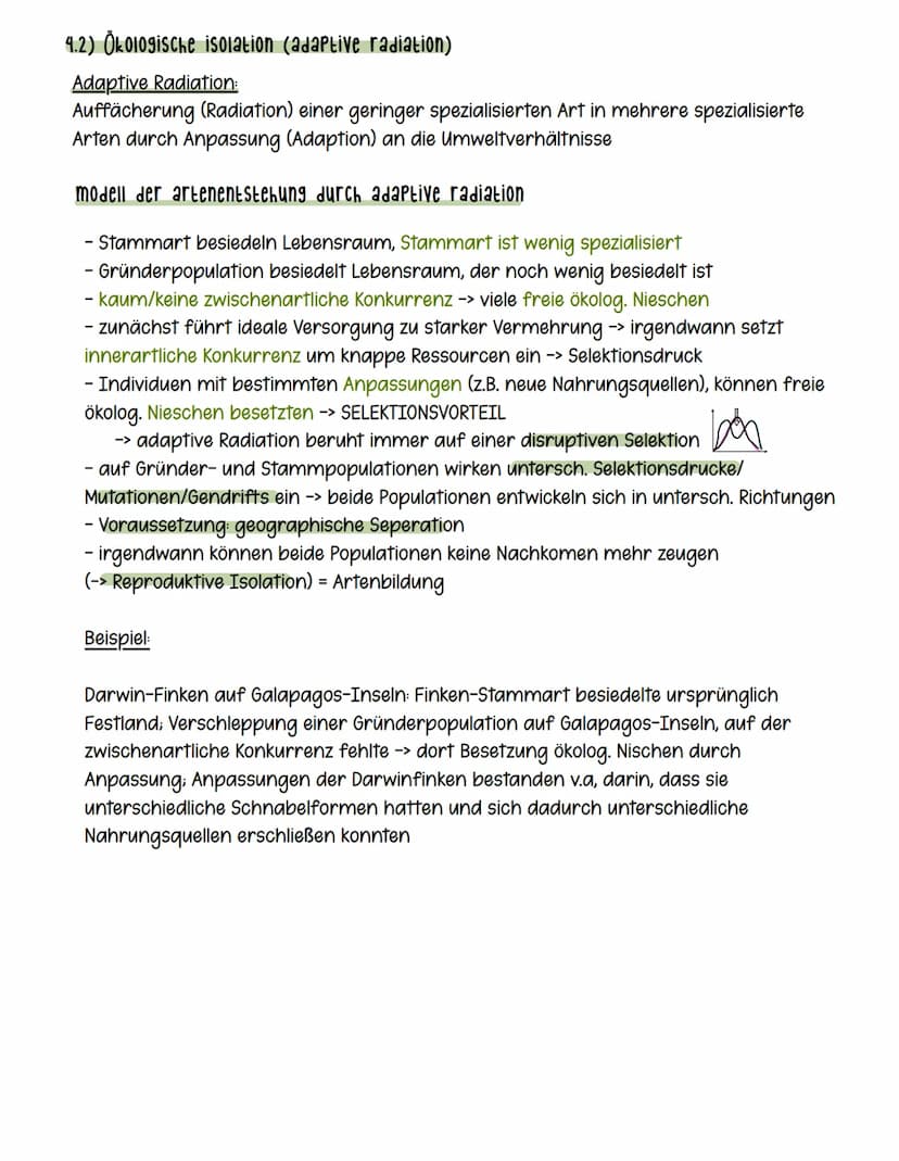 1/21 Inshelt lamarck und darwin
bio klausur
darwin
- Passive Anpassung durch Selektion
- alle Arten haben mehr Nachkommen als für
die Erhalt