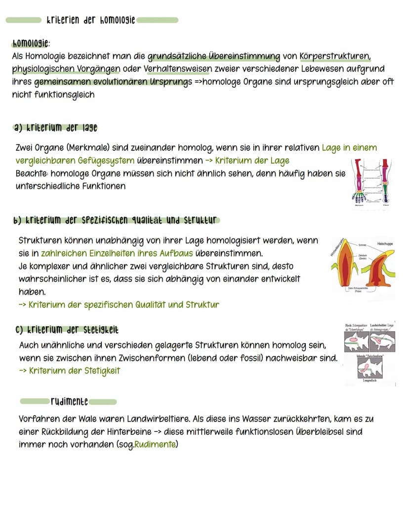 1/21 Inshelt lamarck und darwin
bio klausur
darwin
- Passive Anpassung durch Selektion
- alle Arten haben mehr Nachkommen als für
die Erhalt