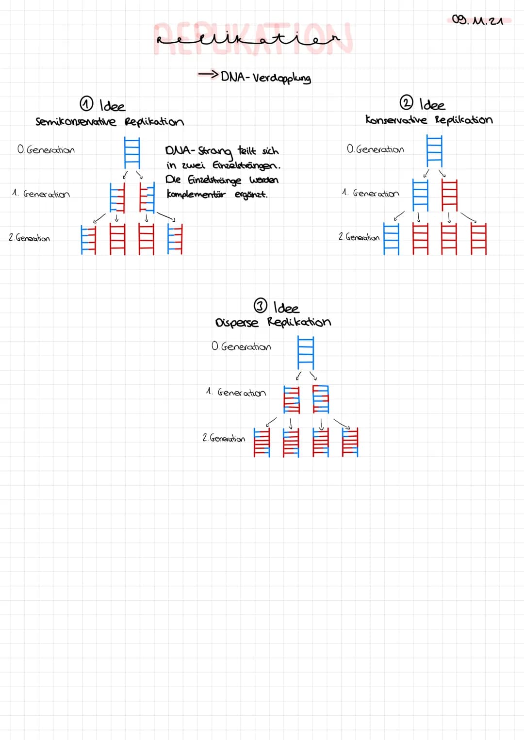 DNA-
Replikation 0. Generation
1. Generation
Idee
Semikonservative Replikation
2. Generation
sellikatier
→DNA-Verdopplung
سبد
DNA-Strang tei