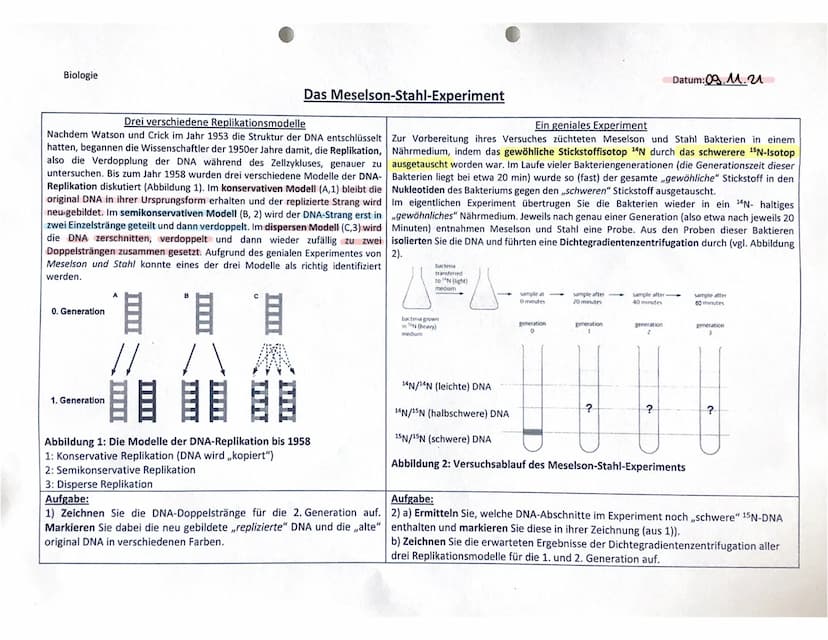 DNA-
Replikation 0. Generation
1. Generation
Idee
Semikonservative Replikation
2. Generation
sellikatier
→DNA-Verdopplung
سبد
DNA-Strang tei