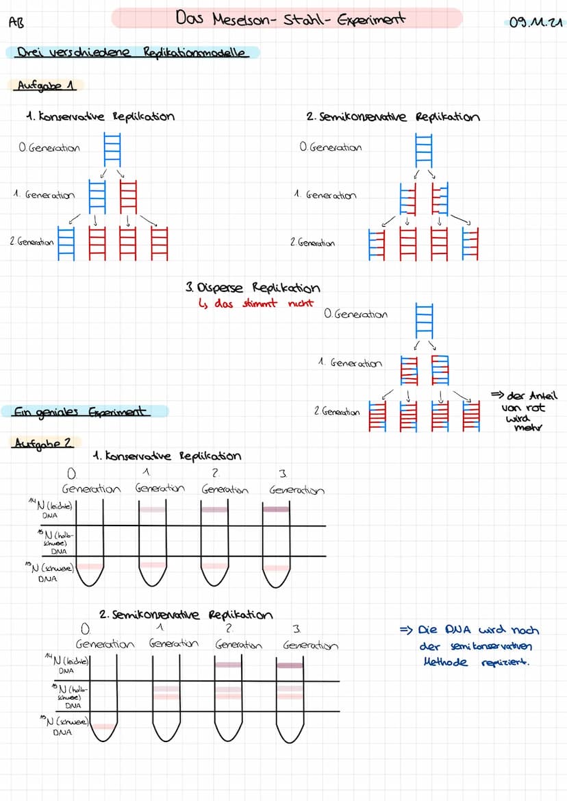 DNA-
Replikation 0. Generation
1. Generation
Idee
Semikonservative Replikation
2. Generation
sellikatier
→DNA-Verdopplung
سبد
DNA-Strang tei