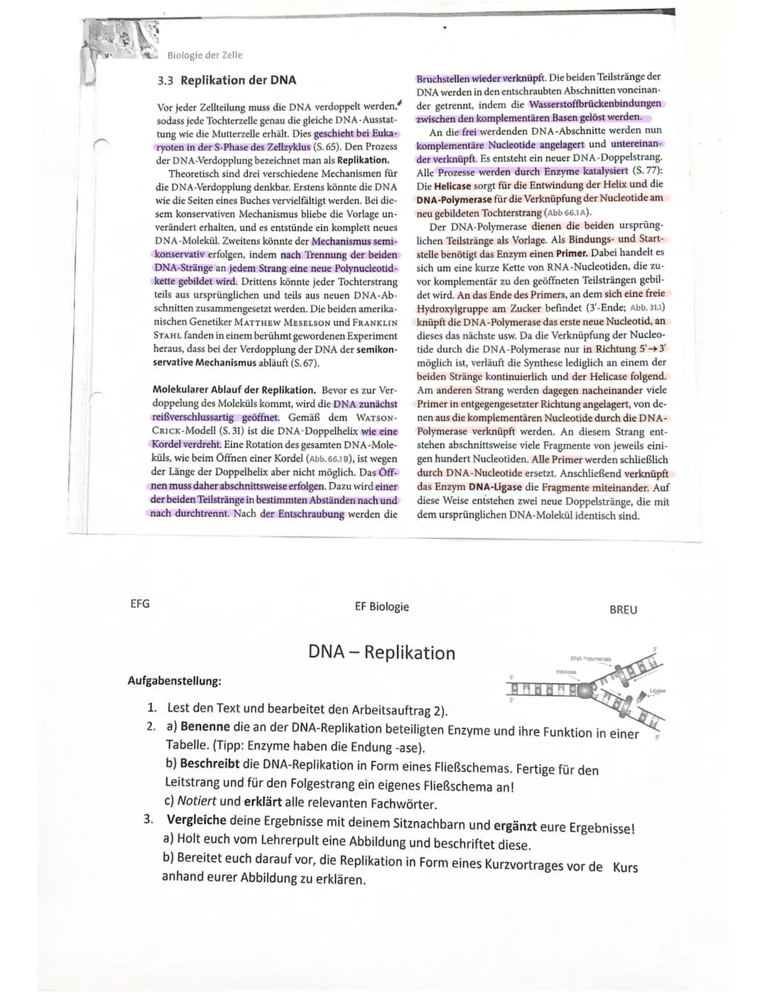 DNA-
Replikation 0. Generation
1. Generation
Idee
Semikonservative Replikation
2. Generation
sellikatier
→DNA-Verdopplung
سبد
DNA-Strang tei