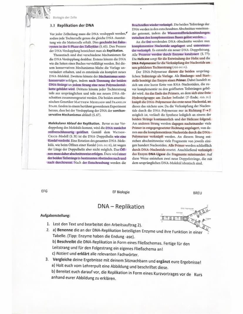 DNA-
Replikation 0. Generation
1. Generation
Idee
Semikonservative Replikation
2. Generation
sellikatier
→DNA-Verdopplung
سبد
DNA-Strang tei