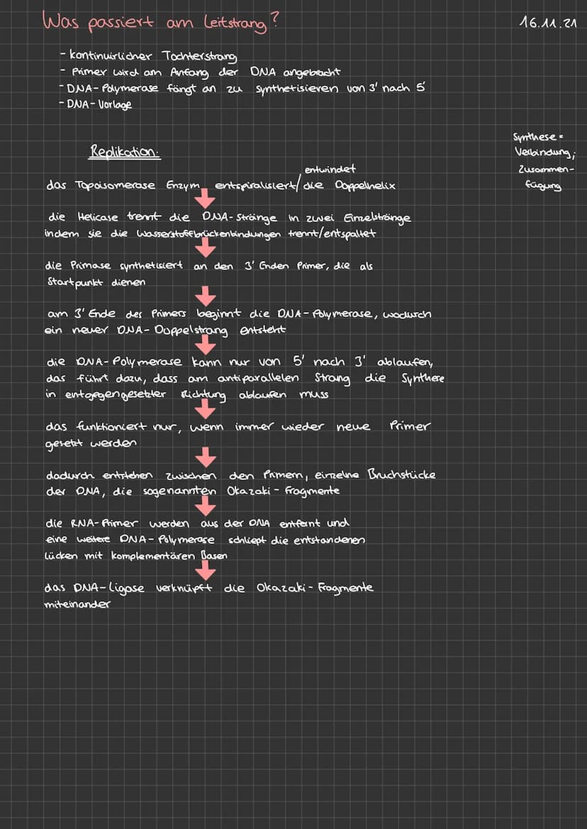 DNA-
Replikation 0. Generation
1. Generation
Idee
Semikonservative Replikation
2. Generation
sellikatier
→DNA-Verdopplung
سبد
DNA-Strang tei
