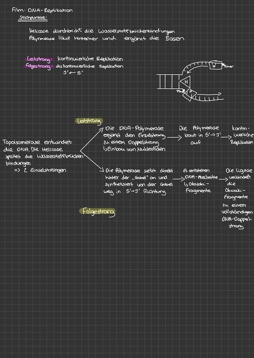 DNA-
Replikation 0. Generation
1. Generation
Idee
Semikonservative Replikation
2. Generation
sellikatier
→DNA-Verdopplung
سبد
DNA-Strang tei