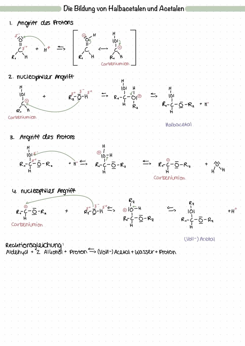 hydrophil + lipophob.
Umso größer umso uleiner
der Alhylrest der Aluylrest
hydrophob lipophil
Nachweisreautionen:
Fehling-Probe.
Silberspleg